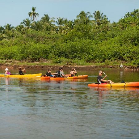 The Resort At Majahua Palms Troncones Exterior photo