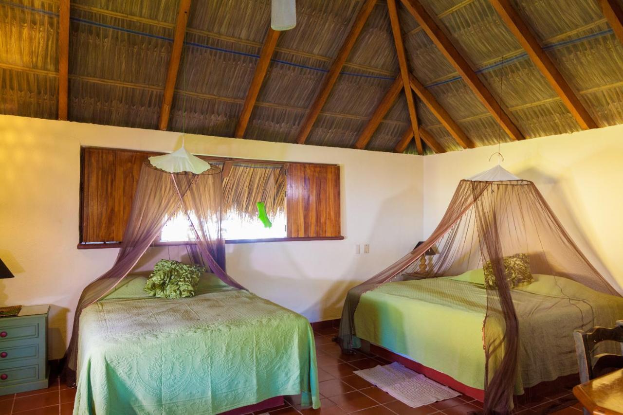 The Resort At Majahua Palms Troncones Exterior photo